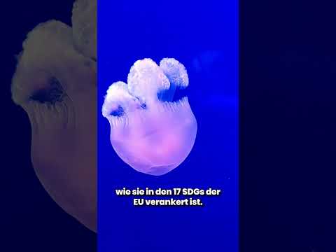 GreenART Chapter 4: Art as a mirror of nature