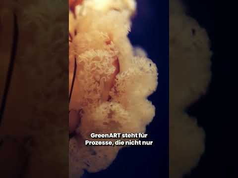 GreenART Chapter 2: Sonja Dolzer: A visionary for sustainable art