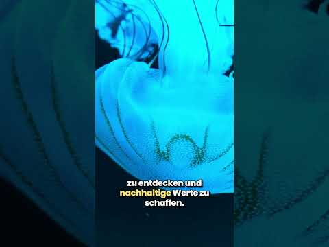 GreenART Chapter 12: An invitation to dialog with GreenART