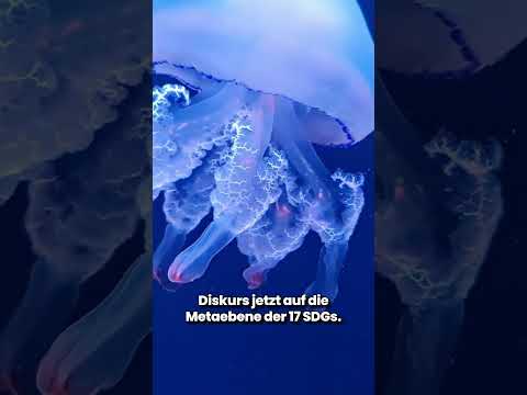 GreenART Capital 8: Art as a response to ecological challenges