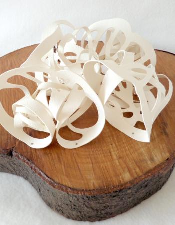 Muschel | Schneckenhaus