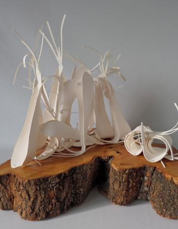 ungekämmt | zuzausst