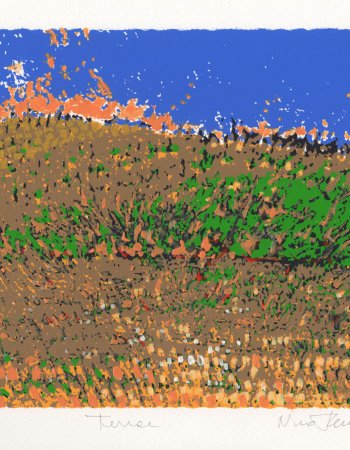 Terrae | BURN-IN Charity