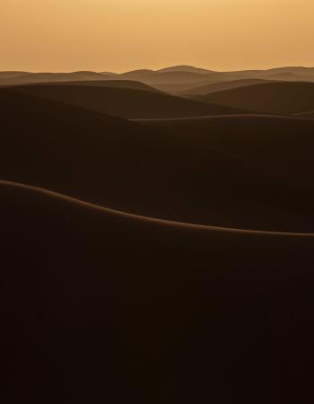 Abendliche Sahara #3708