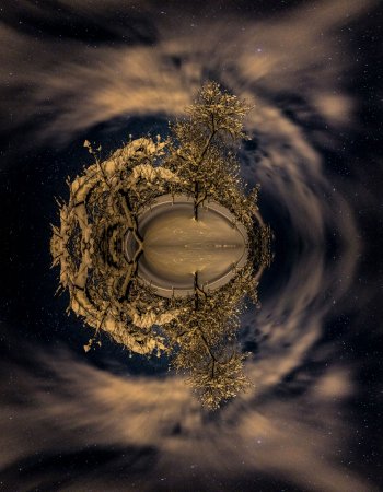 Das Universum und der Baum