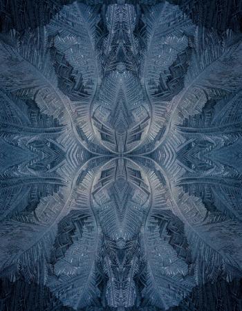 Eisblumen #20180228134029