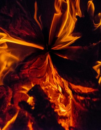 Feuerschlund #141529