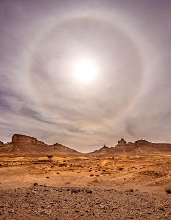 Korona in der Westsahara