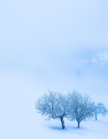 Schneelandschaft #102043