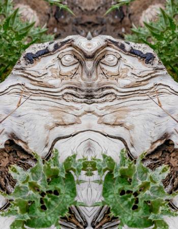 Vathy Gkreki #140218