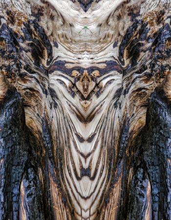 Vathy Gkreki #140236