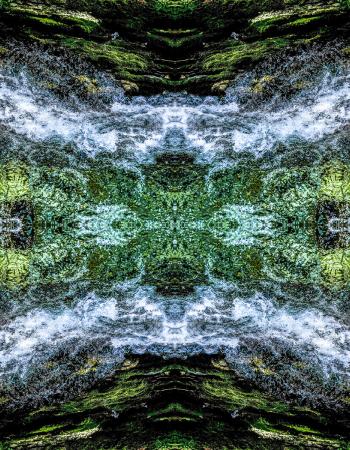 Wasserspiegleung 2017