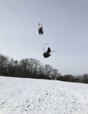 Padé püree -  Bild 3