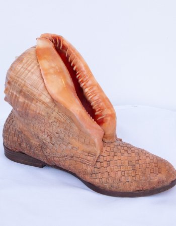 Schuhobjekt Muschel 2