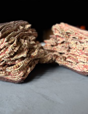 Verbissene Discussion