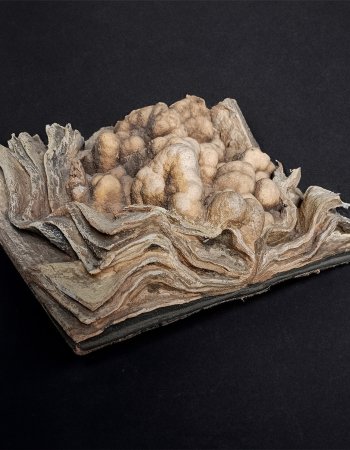 Vergangenes Ereignis