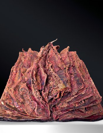 Großes rotes Klosterbuch