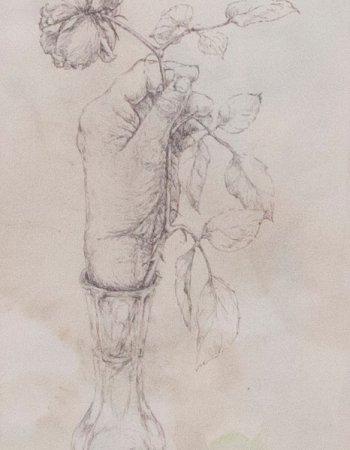 selbst gepflückte Bauernrose