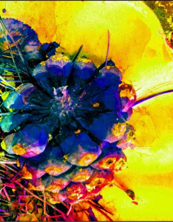 The Fir Cone - yellow