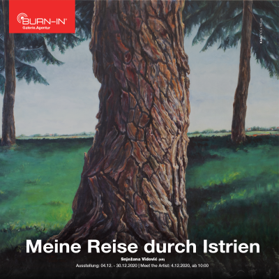 Kunstreise durch Istrien Cover Image