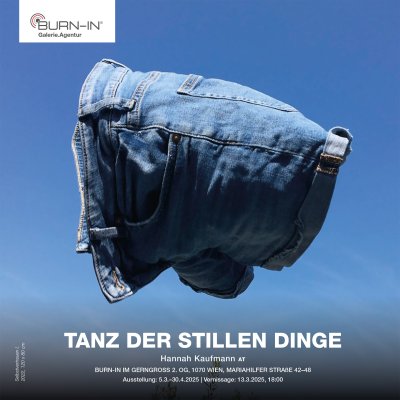 BURN-IN-kaufmann_folder.pdf Cover Image