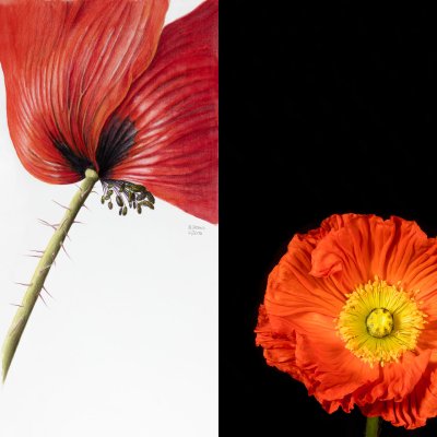 Einladung: Künstlergespräch: Skorecz und  Erben | 29.5.2018, 18:30 Uhr