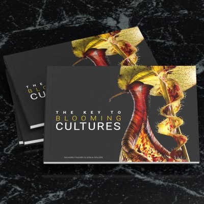 Der Schlüssel zu blühenden Kulturen