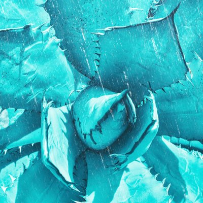 Wer Kunst schenkt, gewinnt immer! Vor allem auch in Corona-Zeiten | BURN-IN Geschenk-Gutscheine