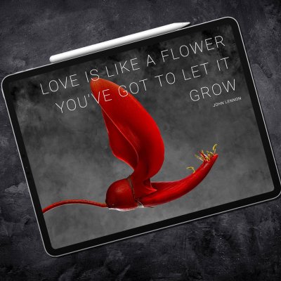 Richard Fischer Website