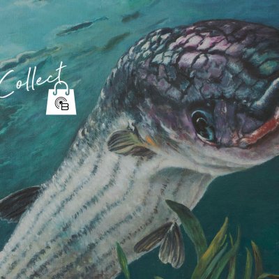 Covid Update | jetzt neue Click + Collect |Öffnungszeiten