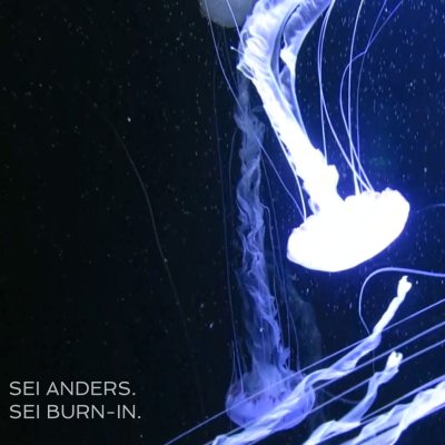 GreenART - machen wir uns gemeinsam auf den Weg!