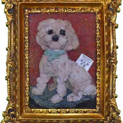 Hunde nicht in den Wäschetrockner