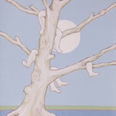 nachtaktive Baumbewohner