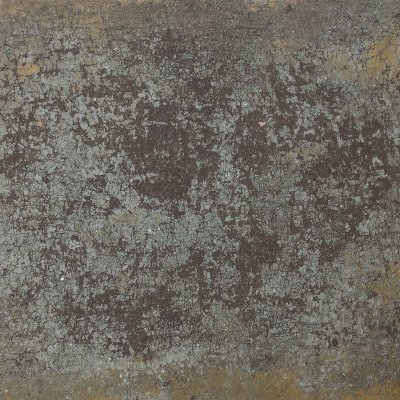 SSS#12 | serpent shed skin | unverkäuflich