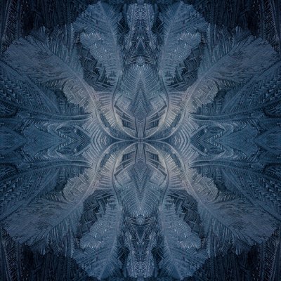 Eisblumen #20180228134029