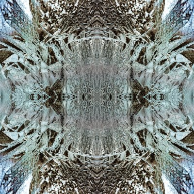 Frontscheibeneisblumen