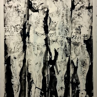 Embryonales Kaleidoskop