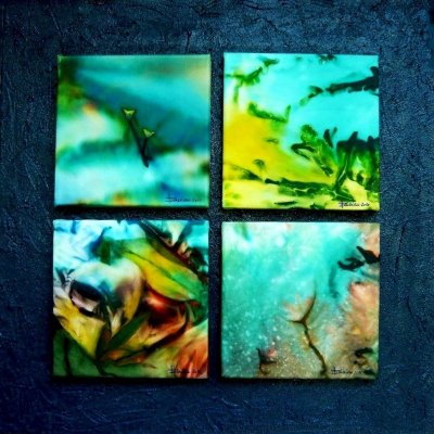 Durch die Jahreszeiten