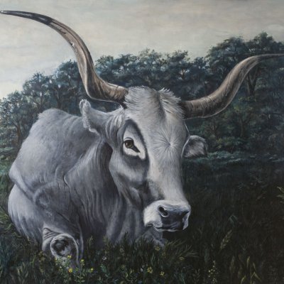 Boškarin und Baraboškula