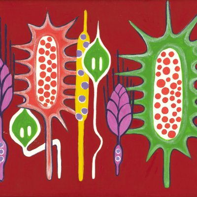 Serie Semillas klein rot