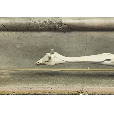 HANNAH! Hides in big cities