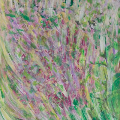 Blühender Marillenbaum