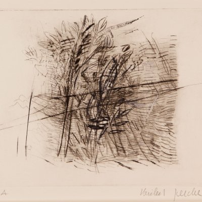 Überschwemmung | Wasserspiegelung