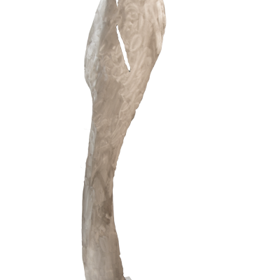 LE CHANT DE LA PETITE BALEINE