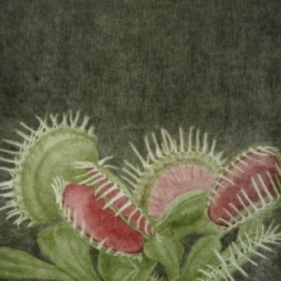 Prekäres Gleichgewicht I