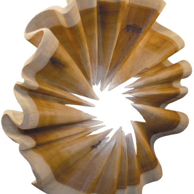 Onda del liriodendro