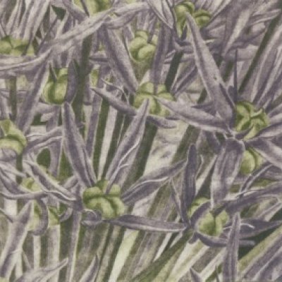 Prekäres Gleichgewicht IV