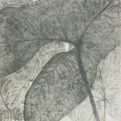 Prekäres Gleichgewicht V