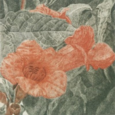 Prekäres Gleichgewicht VIII