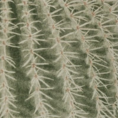 Prekäres Gleichgewicht XII